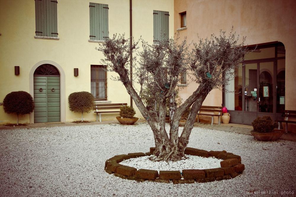 Agriturismo Cascina Boschi Lägenhet Volta Mantovana Exteriör bild